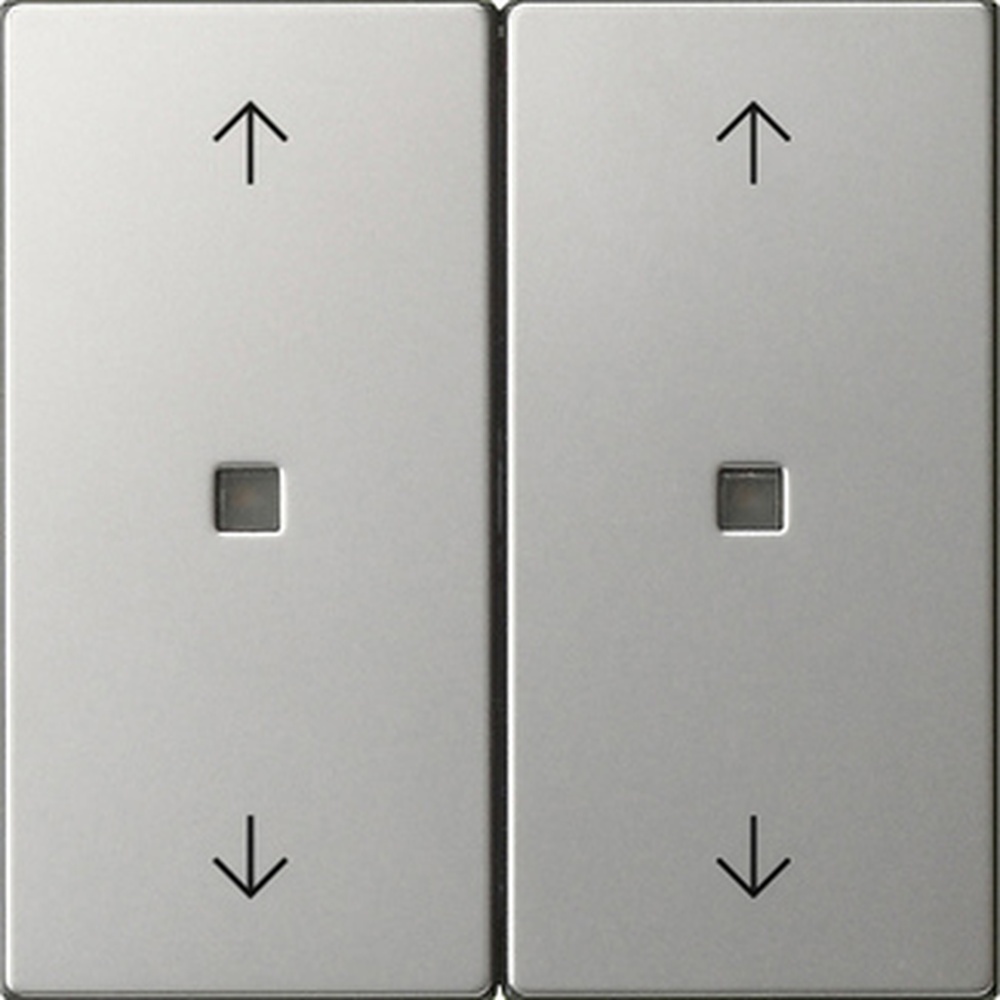 Gira Wippe 2fach 5386600