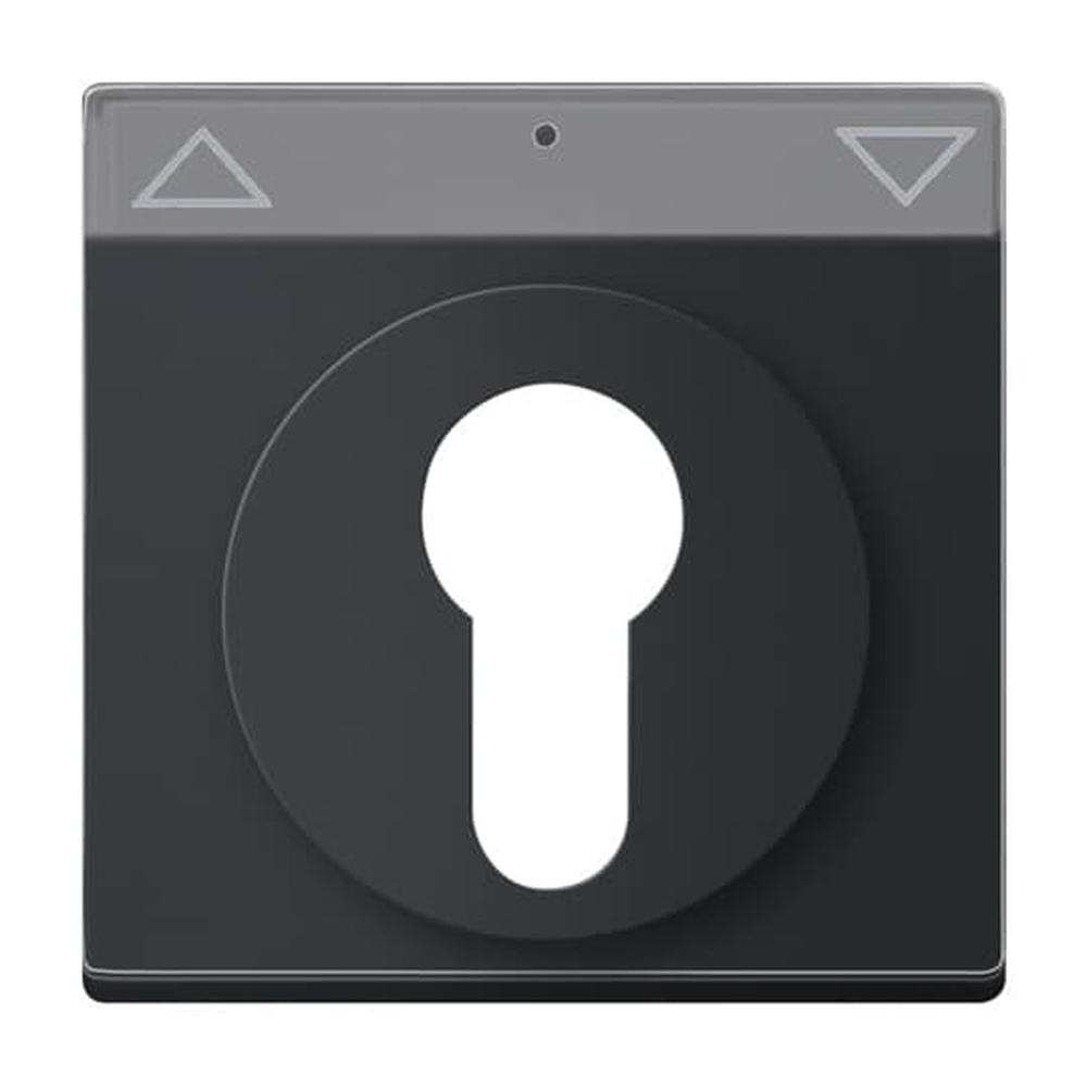 Busch-Jaeger Zentralscheibe 1755 SL/PZ-885-101 Nr. 2CKA001710A3902