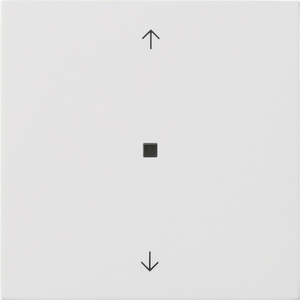 Gira Bedienaufsatz BT 5382112