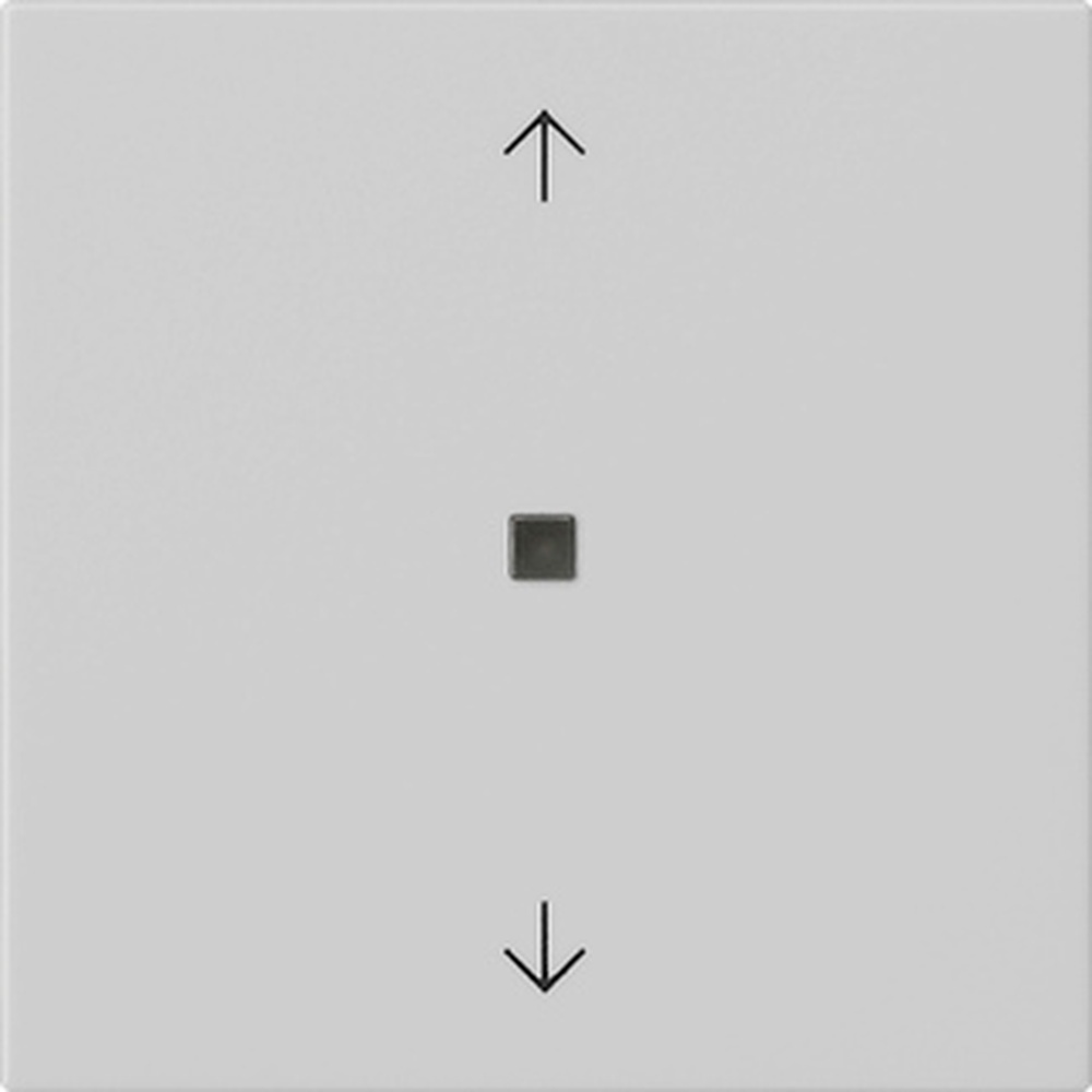 Gira Bedienaufsatz BT 5382015