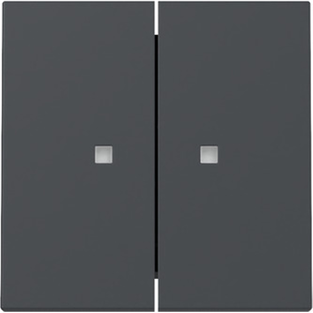 Gira Wippe 2fach 363128