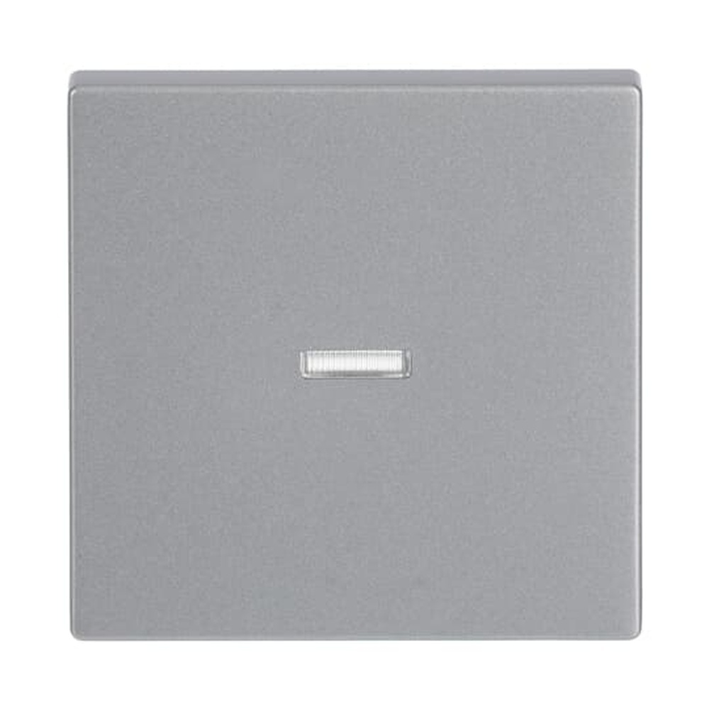 Busch-Jaeger Wippe 1789 N-83 Nr. 2CKA001751A3149