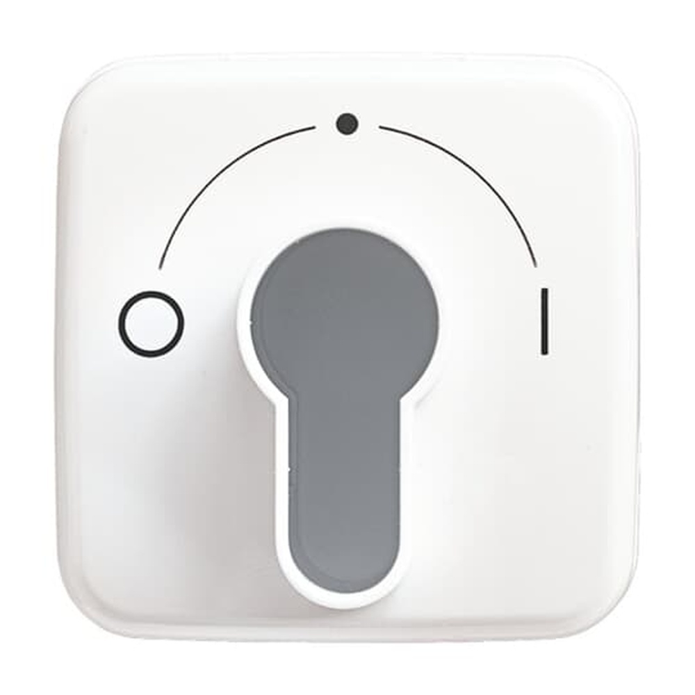 Busch-Jaeger Zentralscheibe 2557 SLPZ-214-101 Nr. 2CKA001710A1456