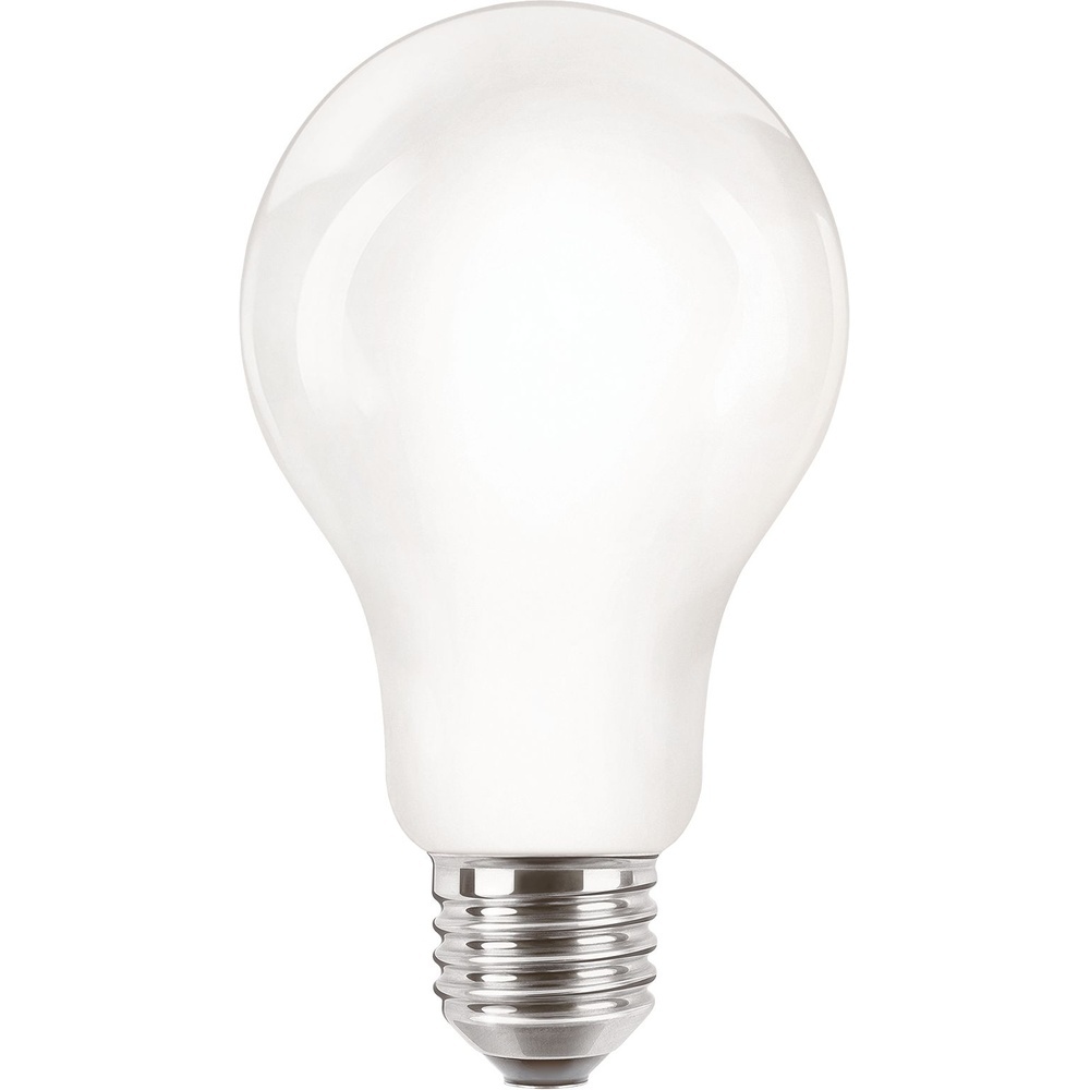 Signify Philips LED Glühlampe 34655000 Typ CorePro LEDBulbND 120W E27 A67 840 FR G