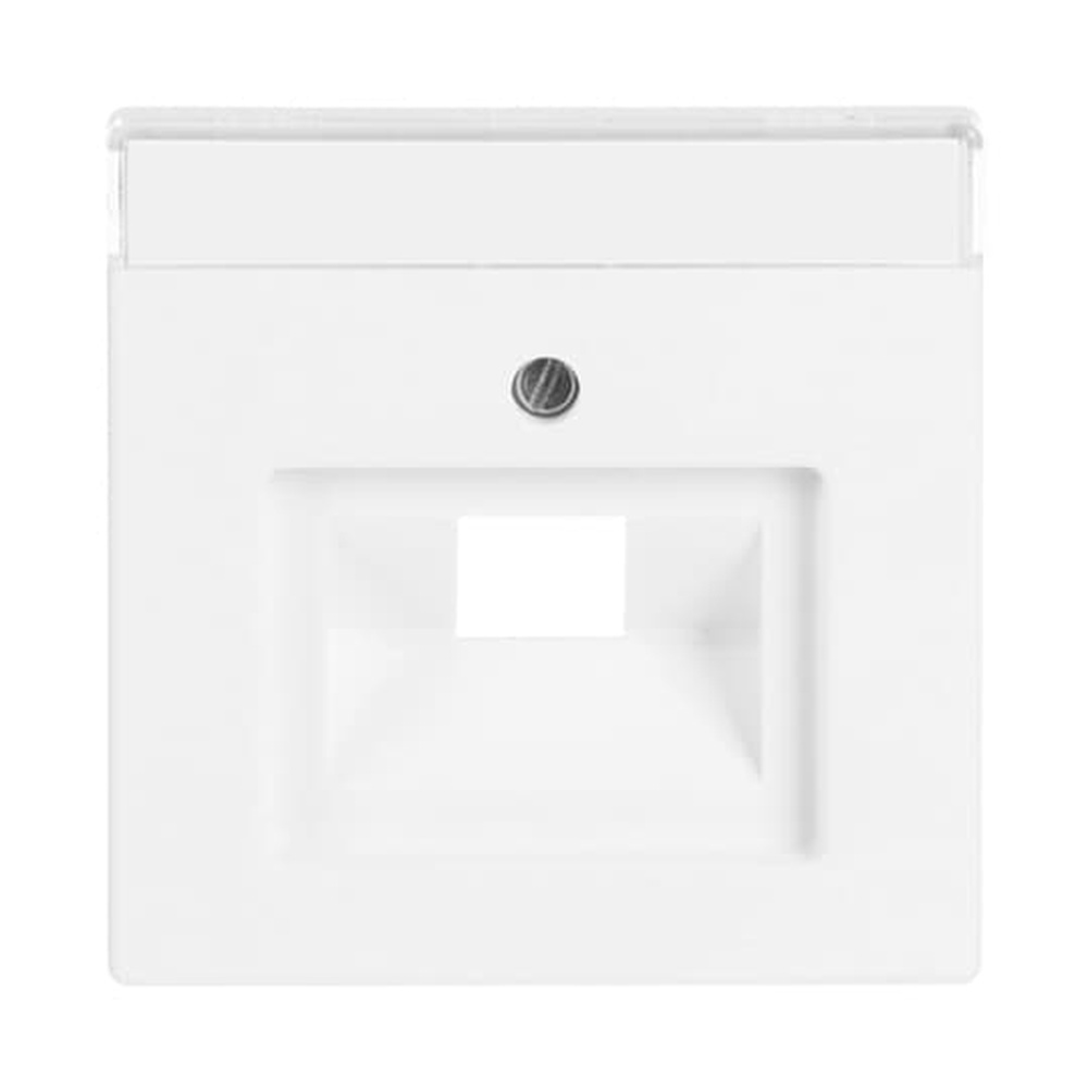 Busch-Jaeger Zentralscheibe 1803-884 Nr. 2CKA001710A3889