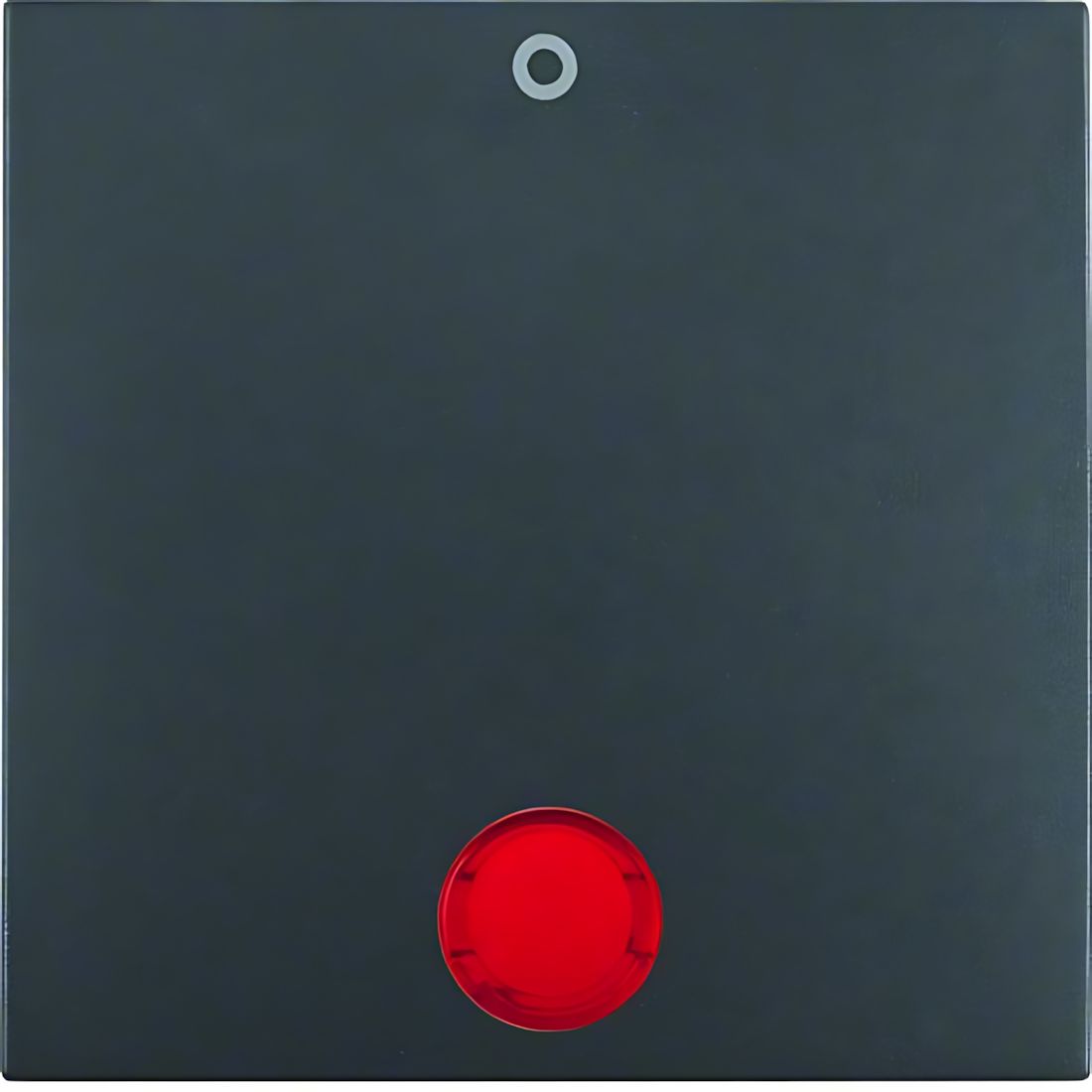 Berker Wippe 16241606