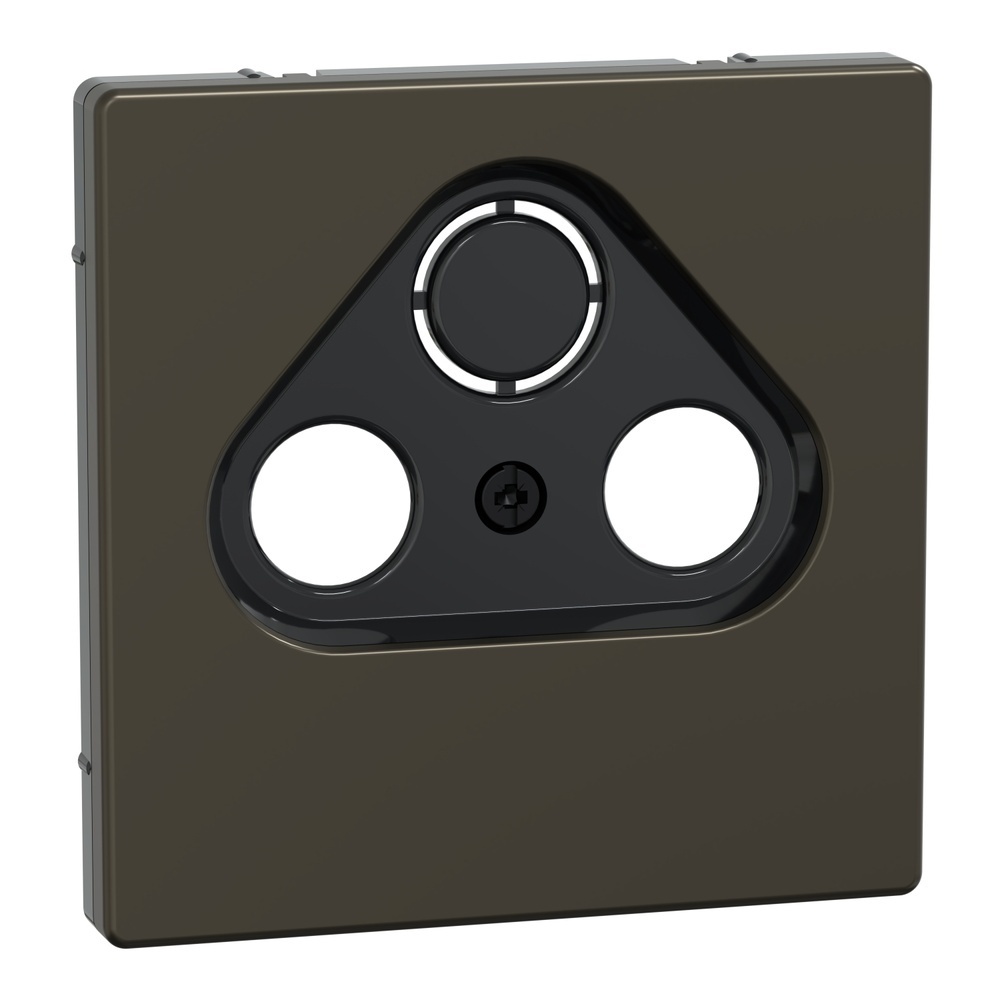 Merten Zentralplatte MEG4123-6052