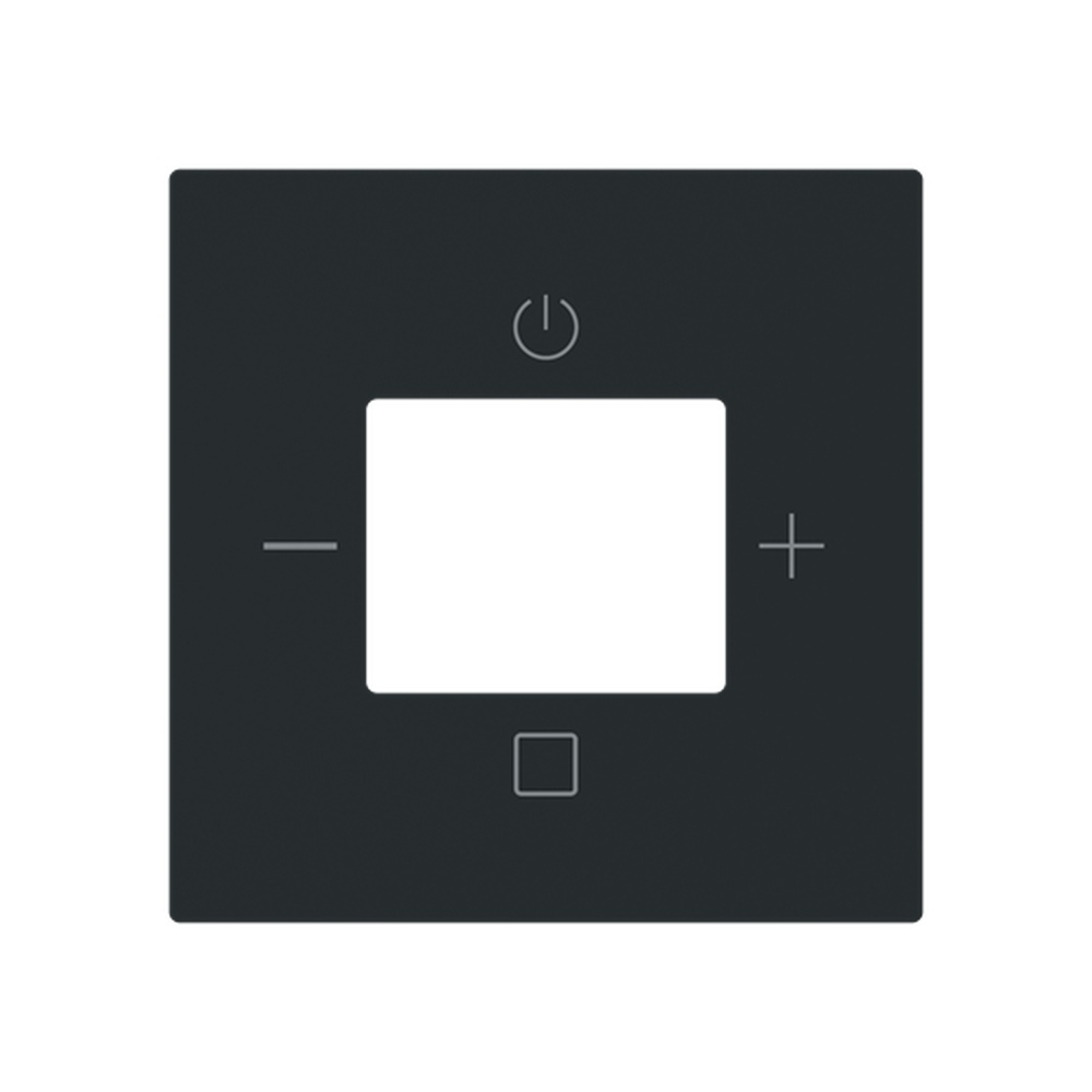 Busch-Jaeger Zentralscheibe 8252-45M-101 Typ 2CKA008200A0288