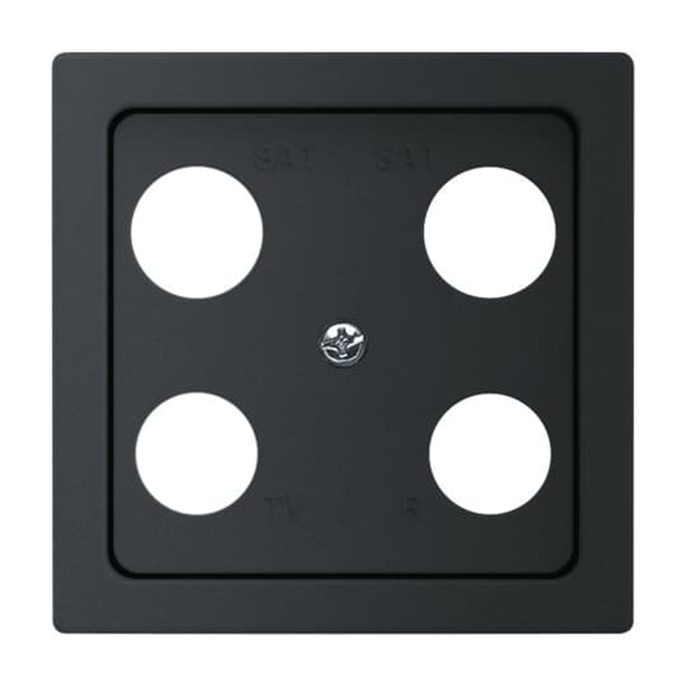 Busch-Jaeger Zentralscheibe 1743-04-885 Nr. 2CKA001724A4380