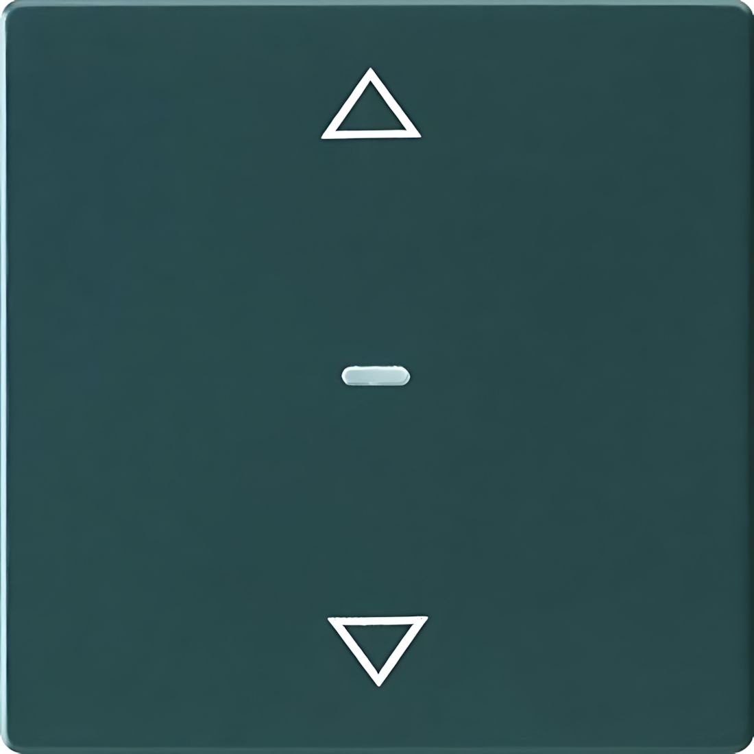 Berker Tastsensor Abdeckung 80961226