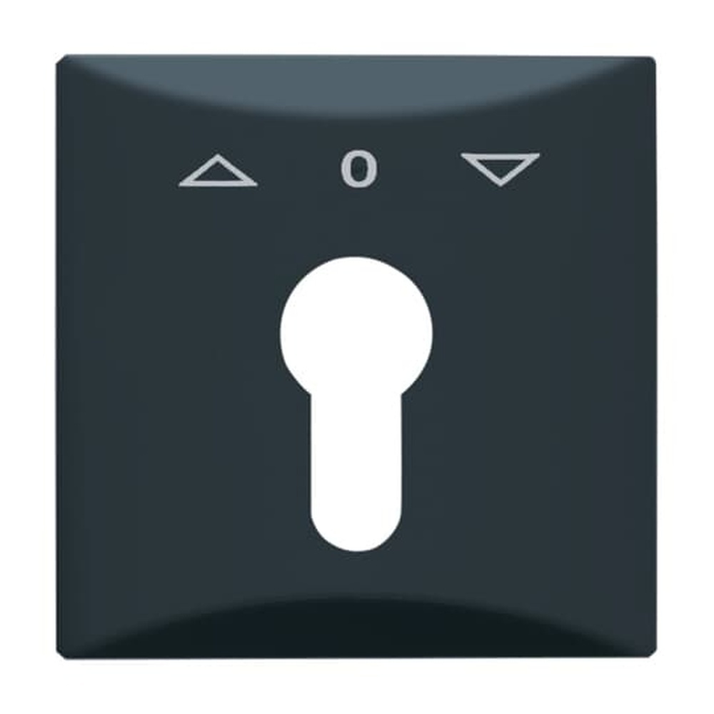 Busch-Jaeger Zentralscheibe 2155 PZ-35 Nr. 2CKA001710A1894