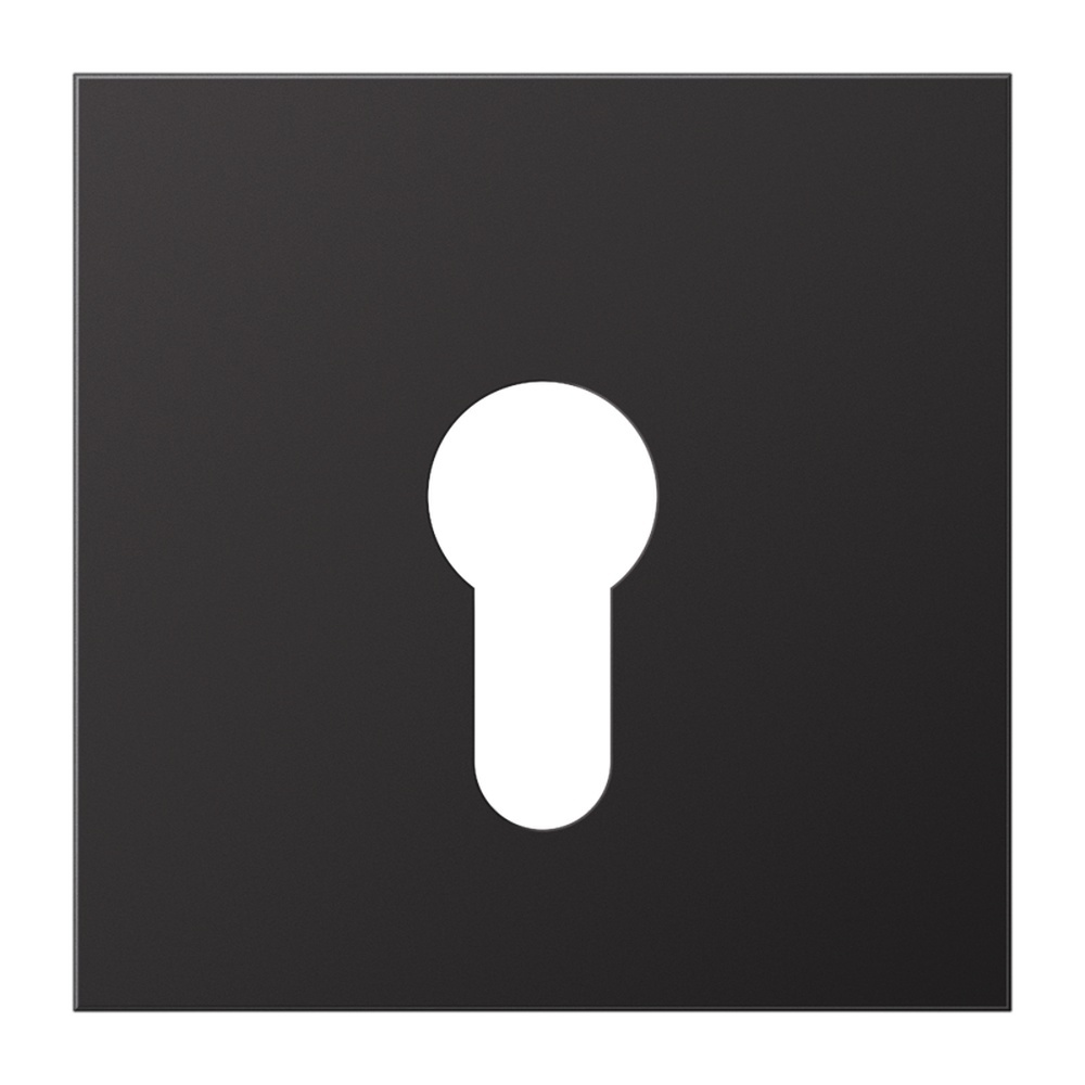 Jung Abdeckung Schlüsselschalter AL 2925 D