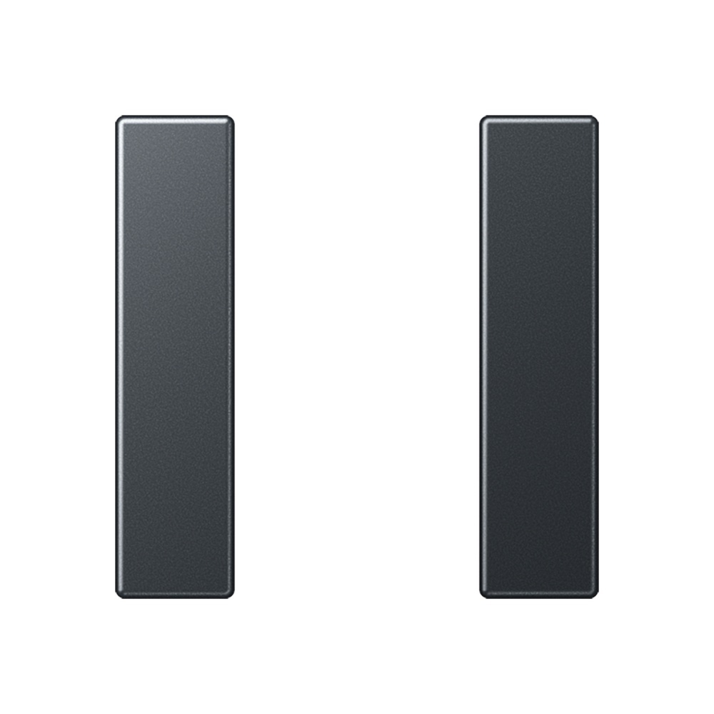 Jung Tastensatz 1fach A 501 TSA ANM