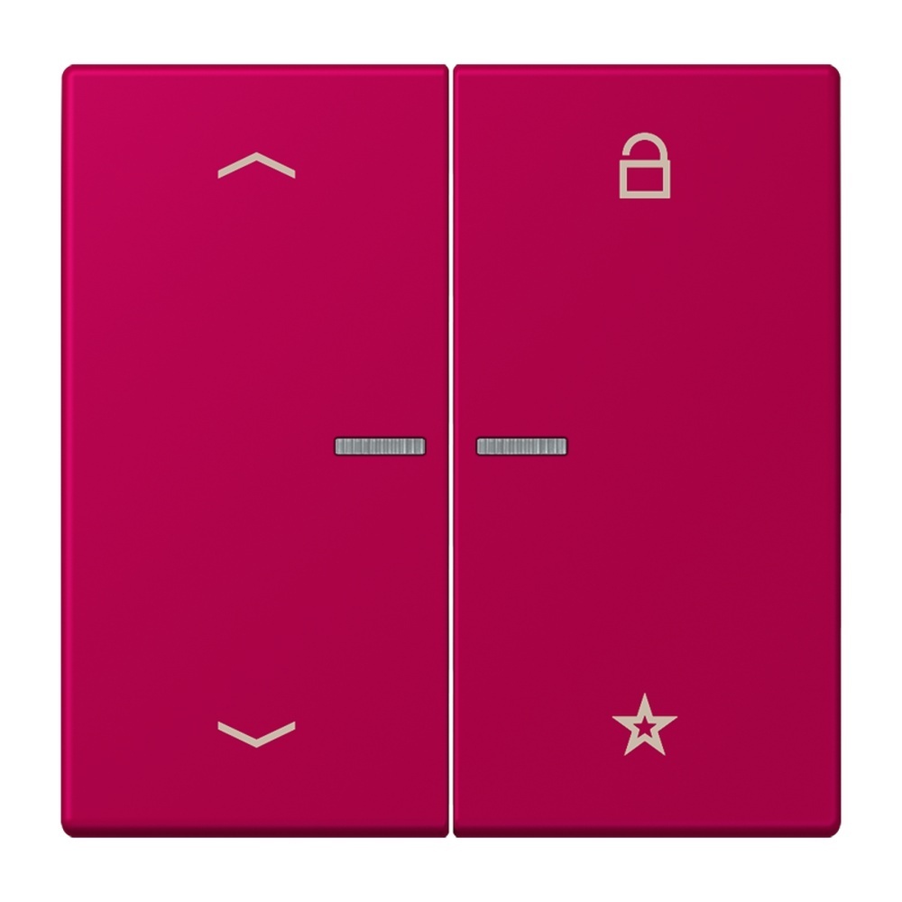 Jung Taster FMLC1701P230