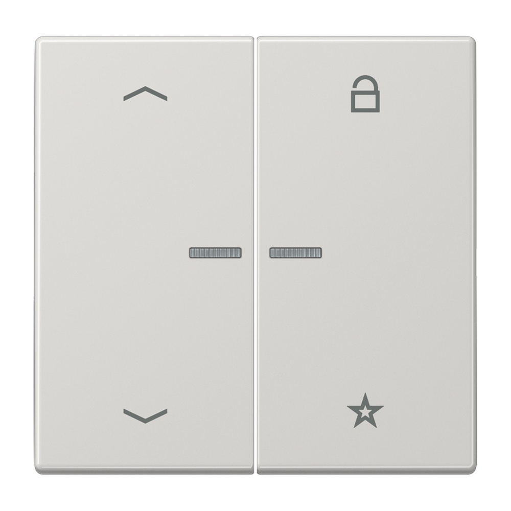 Jung eNet Funk Steuertaste FMLS1701PLG