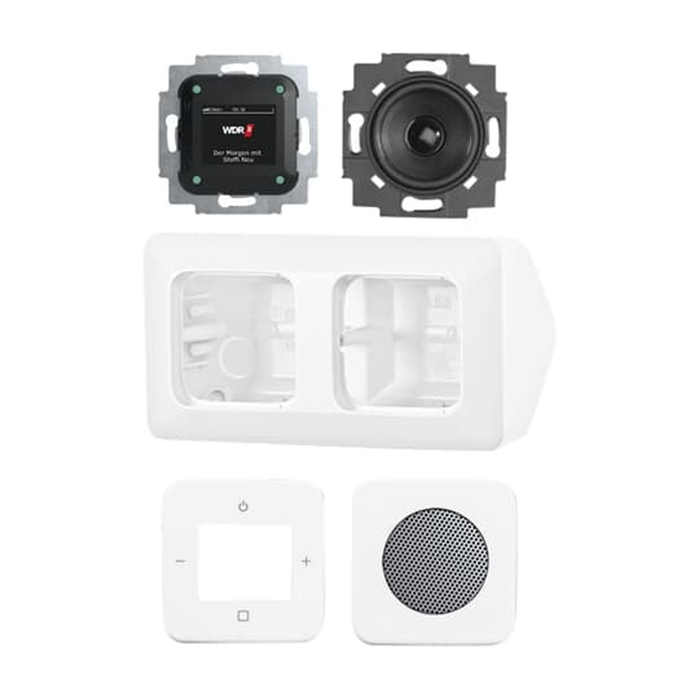 Busch-Jaeger Radio DAB+ Komplettset 8250 AJ-214-101 Nr. 2CKA008200A0235