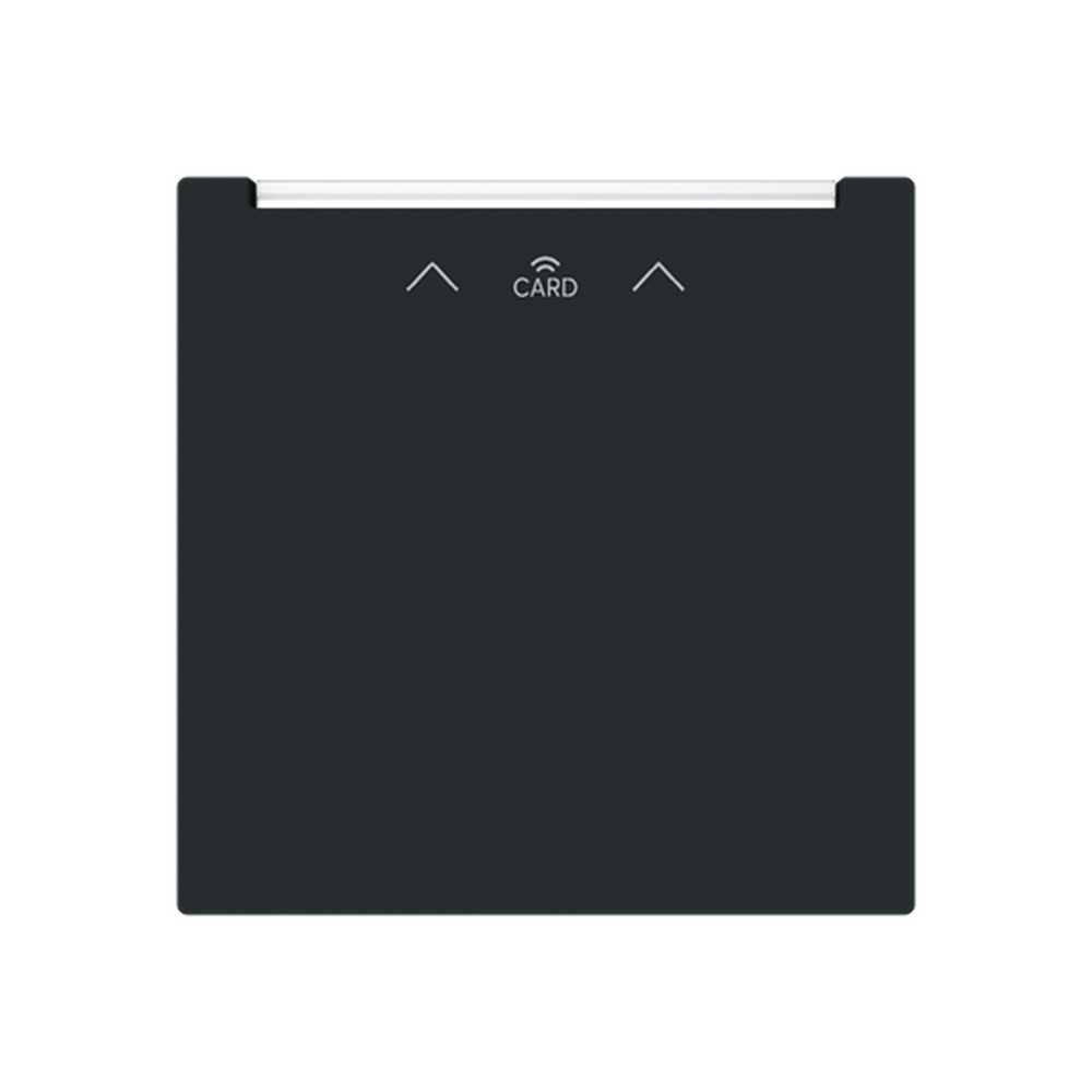 Busch-Jäger Zentralscheibe 1792 RFID-45M Nr. 2CKA001710A4247