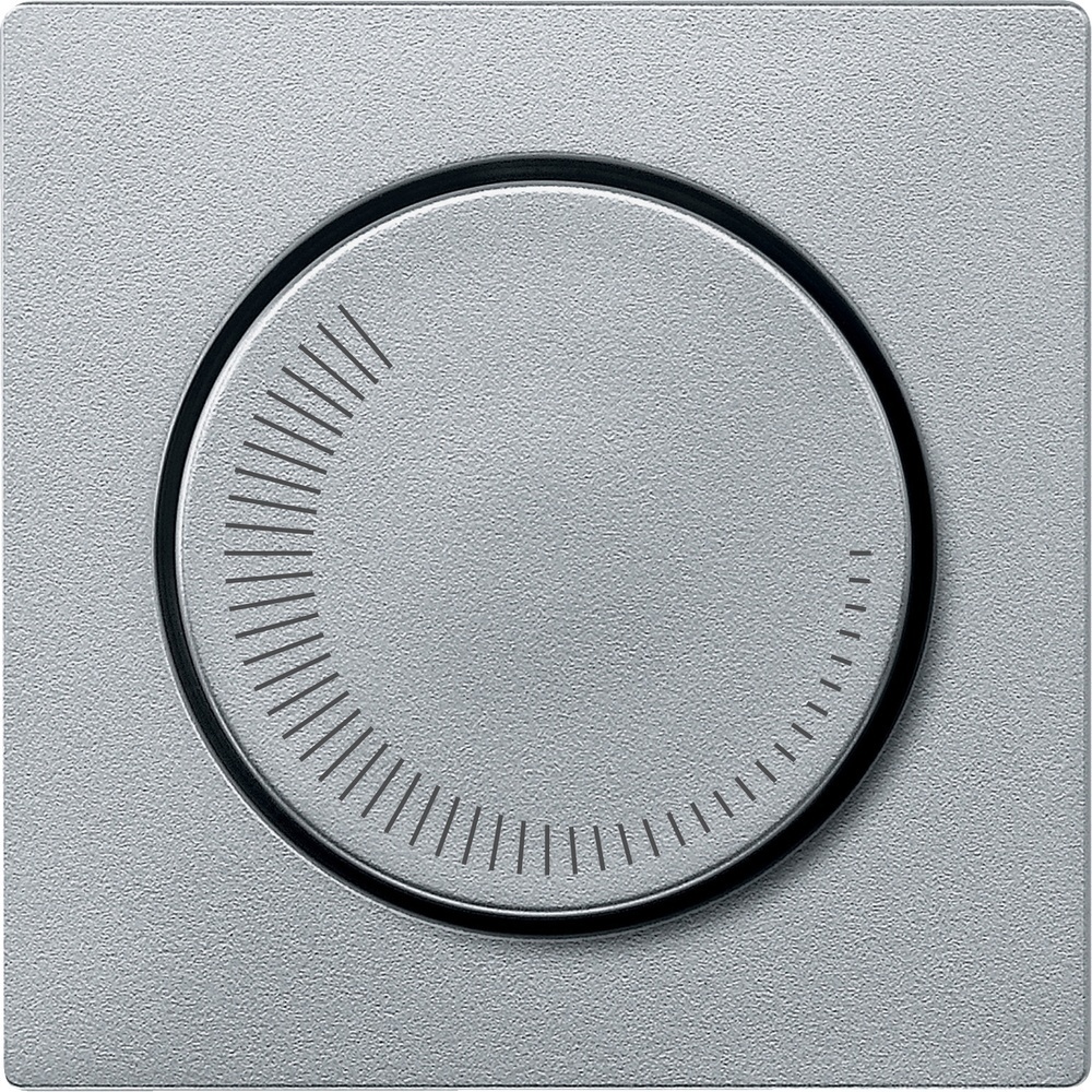 Merten Zentralplatte MEG5251-0460