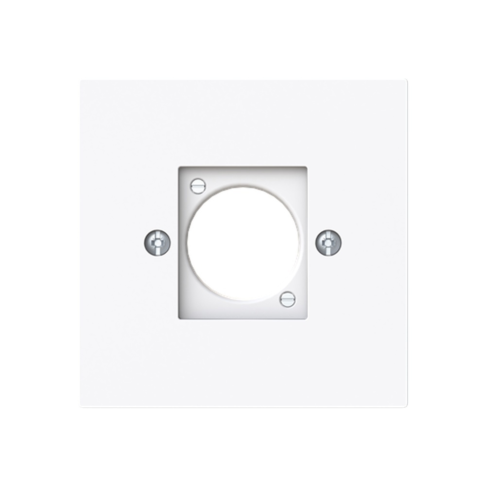 Busch-Jäger Zentralscheibe 2553-44G Nr. 2CKA001724A4448