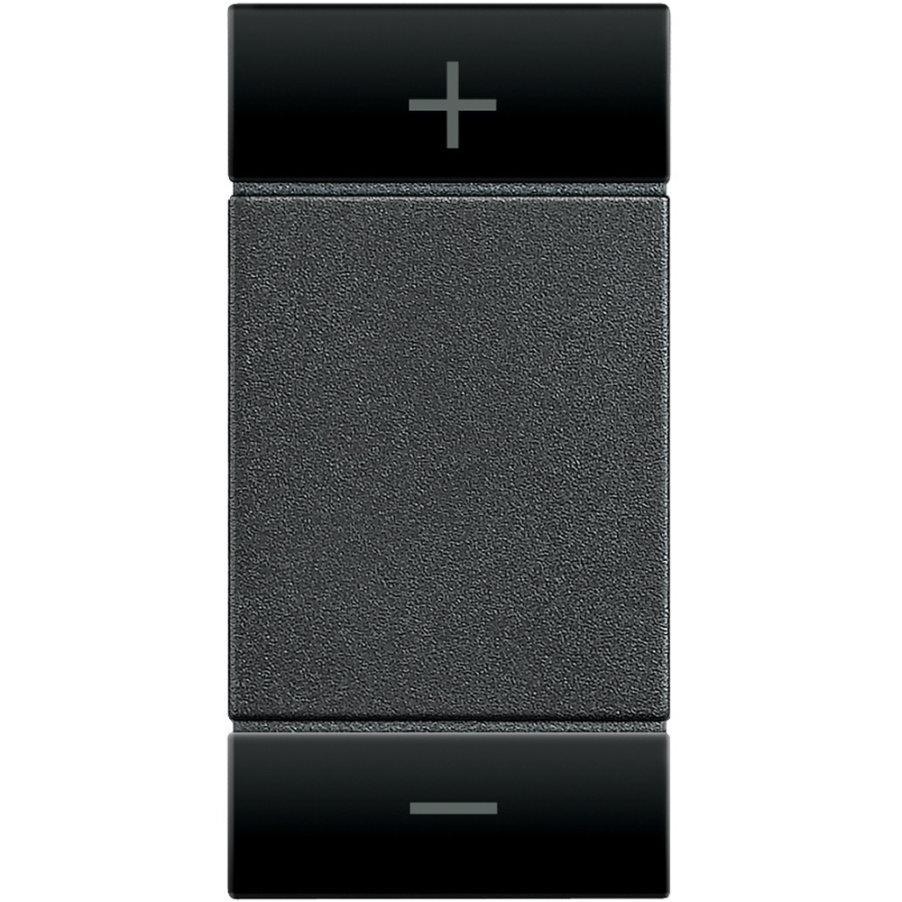 Bticino Wippe L4911ADN