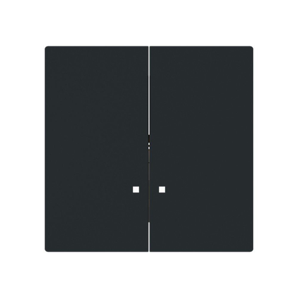 Busch-Jäger Zentralscheibe 1785/11 K-45M Nr. 2CKA001751A3312