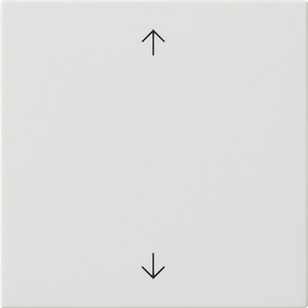 Gira Wippe 1fach 538903