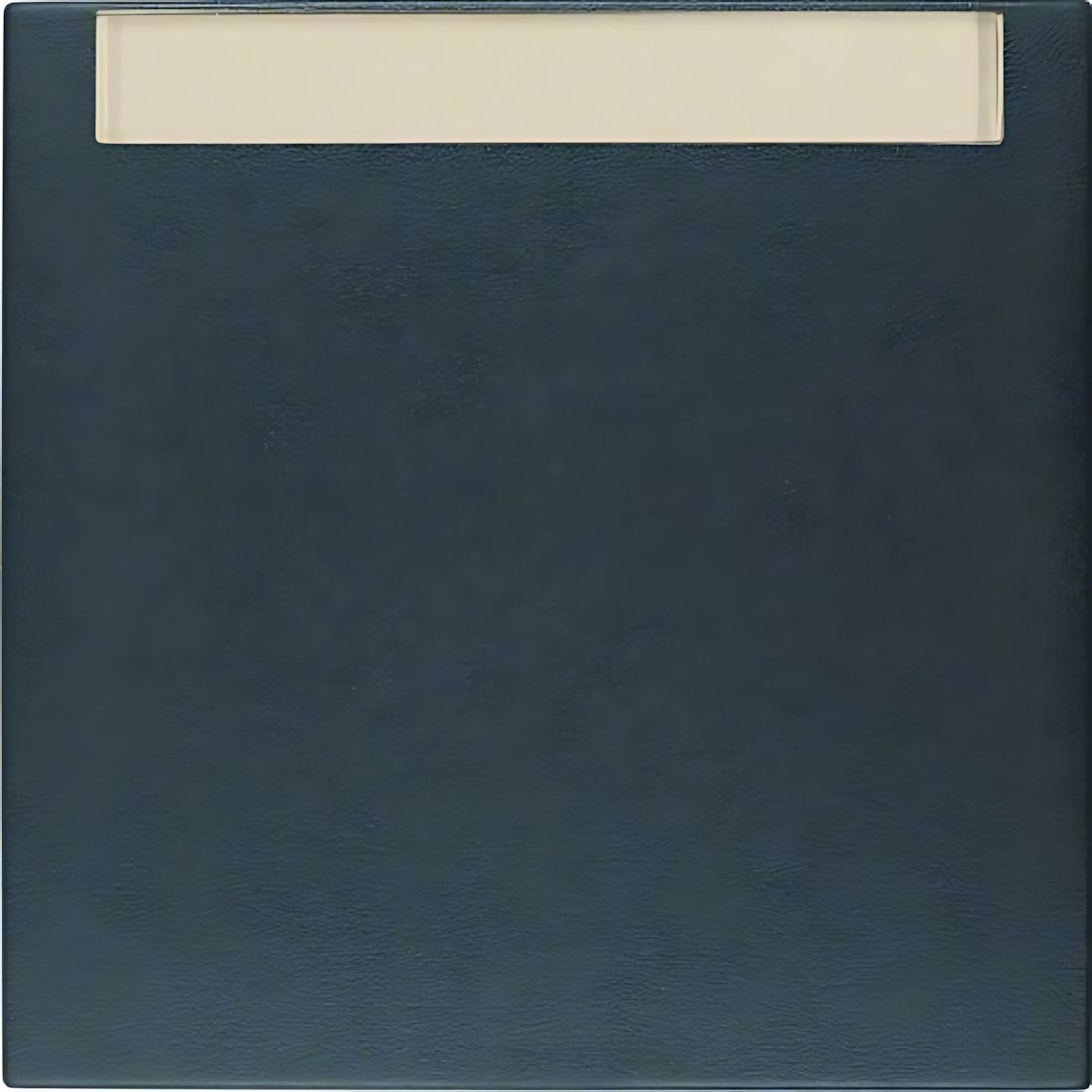 Berker Wippe 16261606