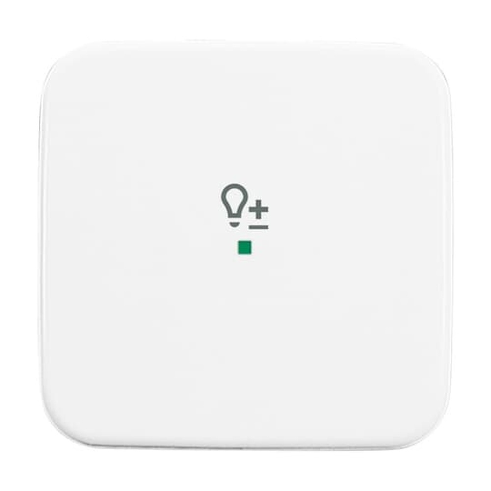 Busch-Jaeger Wippe 6234-10-214 Nr. 2CKA006220A0086