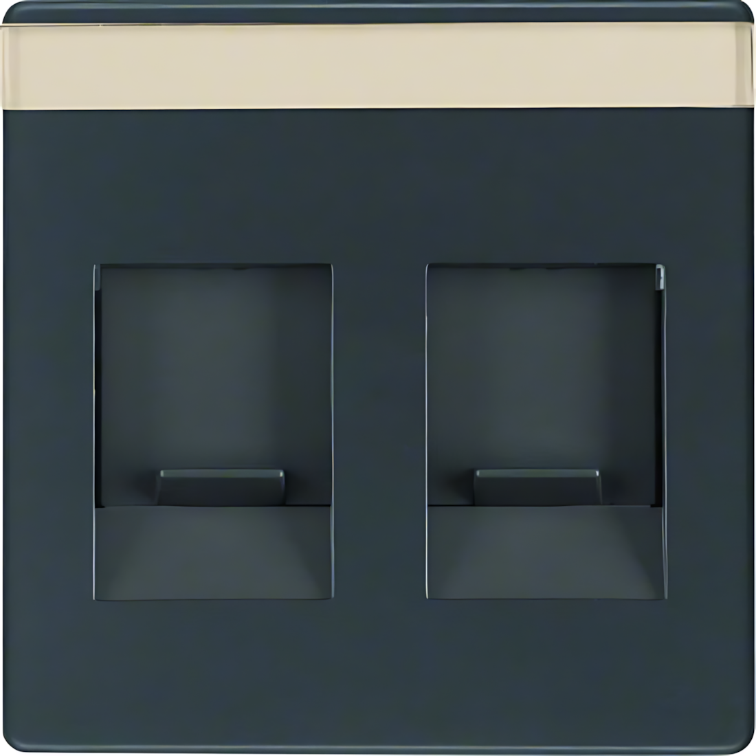 Berker Zentralstück 11816086