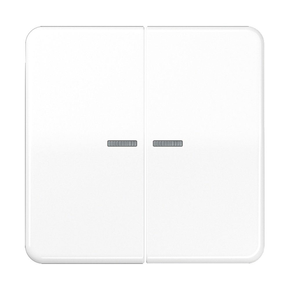 Jung KNX RF Taster 2fach CD10921STRFWW