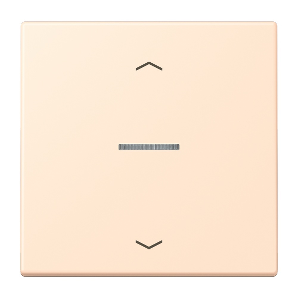 Jung Wippe mit Lichtleiter LC101KO5P238