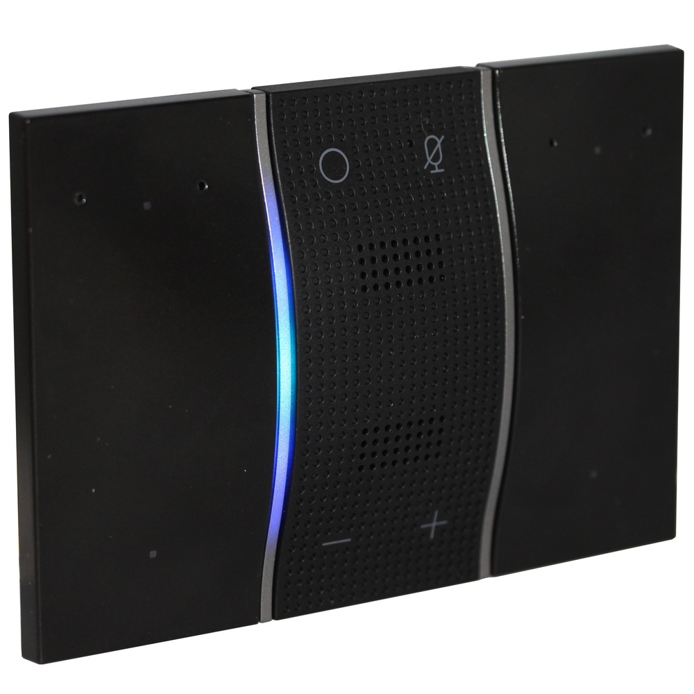 Bticino Alexa Sprachsteuerung KG8013