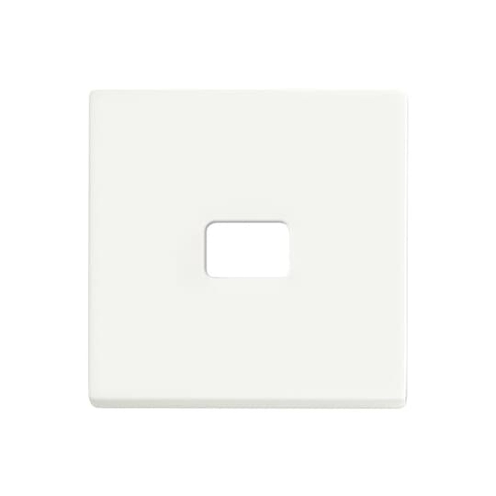 Busch-Jaeger Wippe 1720-884 Nr. 2CKA001731A1979