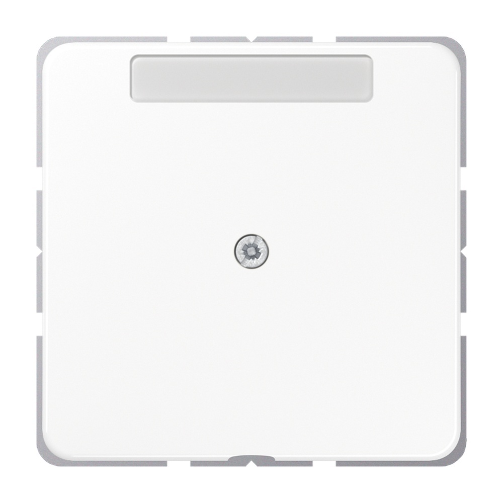 Jung Leitungsauslass CD 590 NAA WW