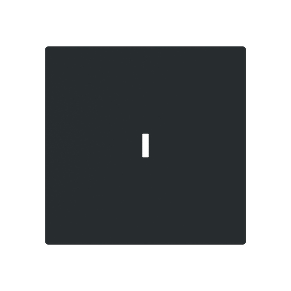 Busch-Jaeger Wippe 1789 N-45M Typ 2CKA001751A3364