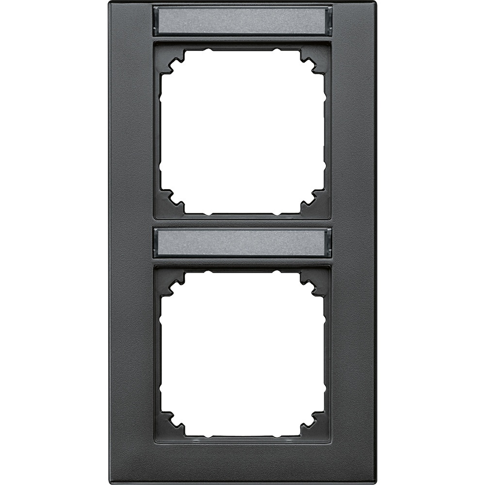 Merten Rahmen 2fach 476214