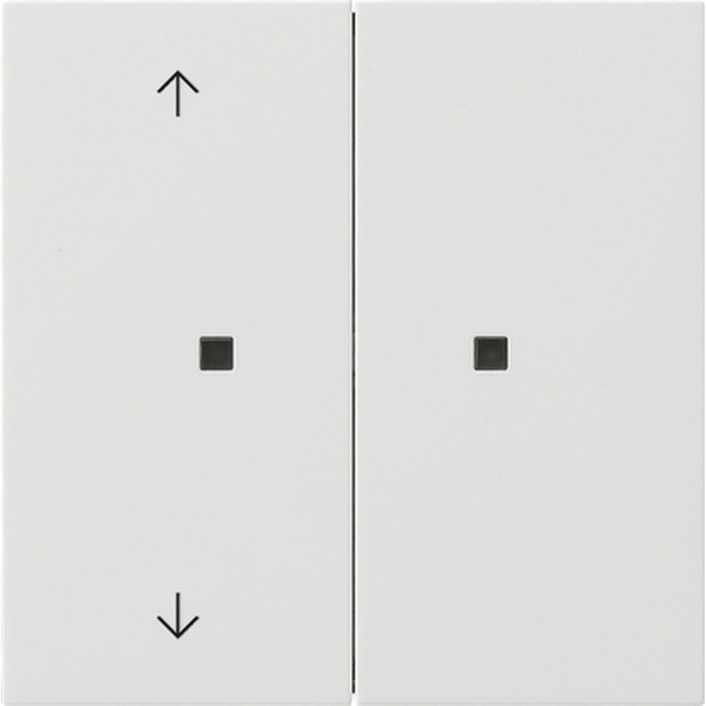 Gira Bedienaufsatz 2fach RF 5108112