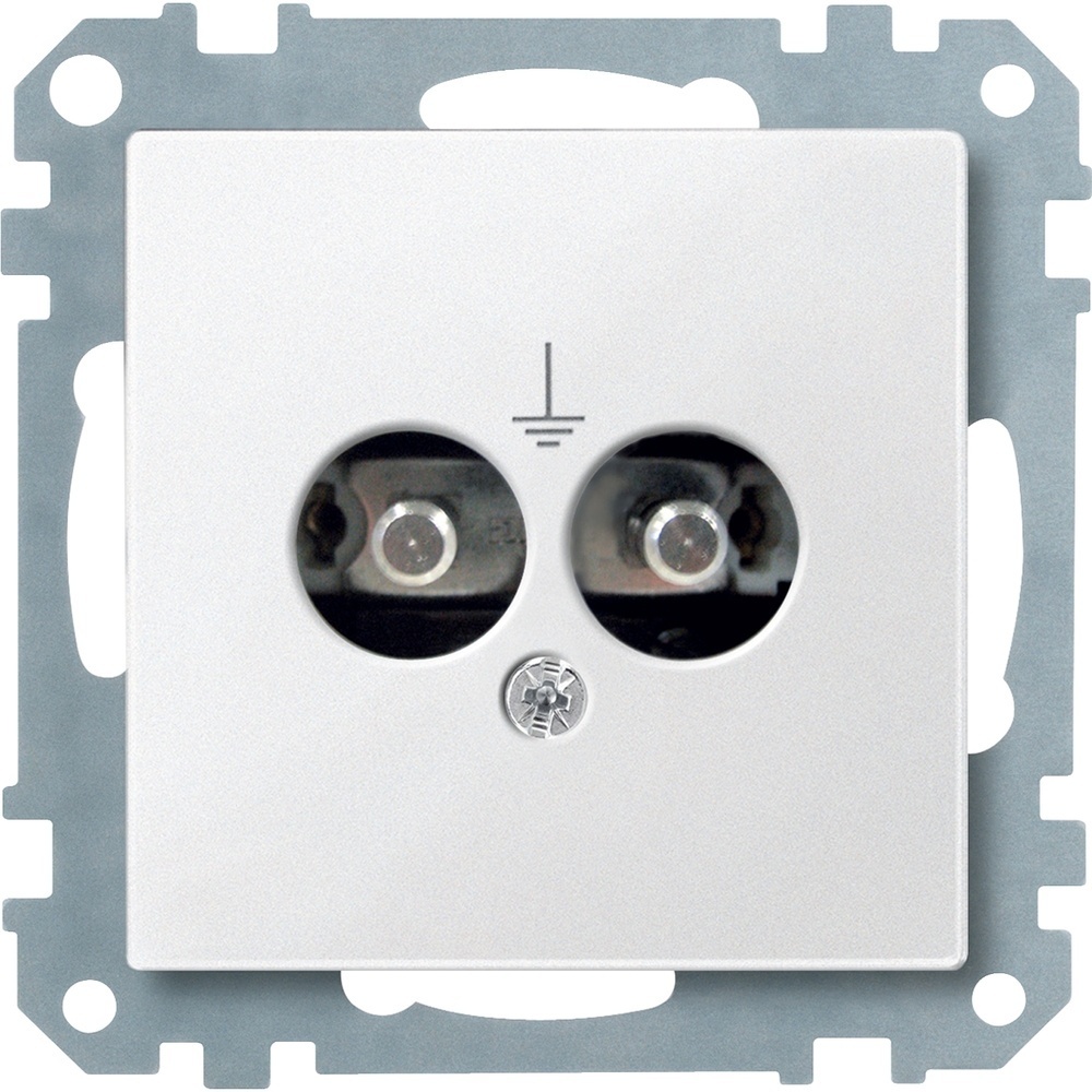 Merten Potentialausgleich Steckdose 298219