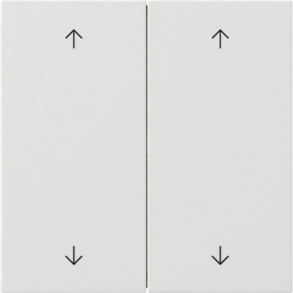 Gira Wippe 2fach 5387112