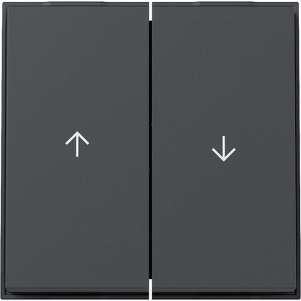 Gira Wippe 2fach 329467