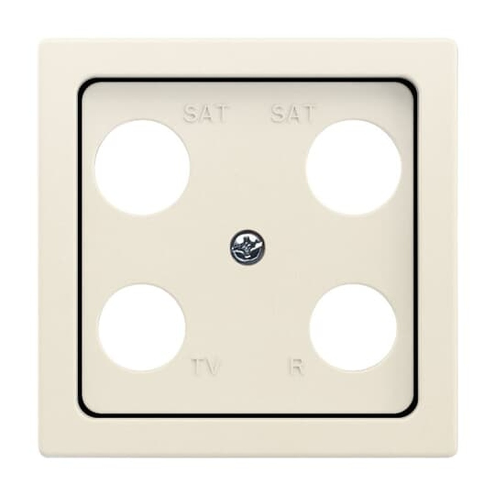 Busch-Jaeger Zentralscheibe 1743-04-82 Nr. 2CKA001724A4375