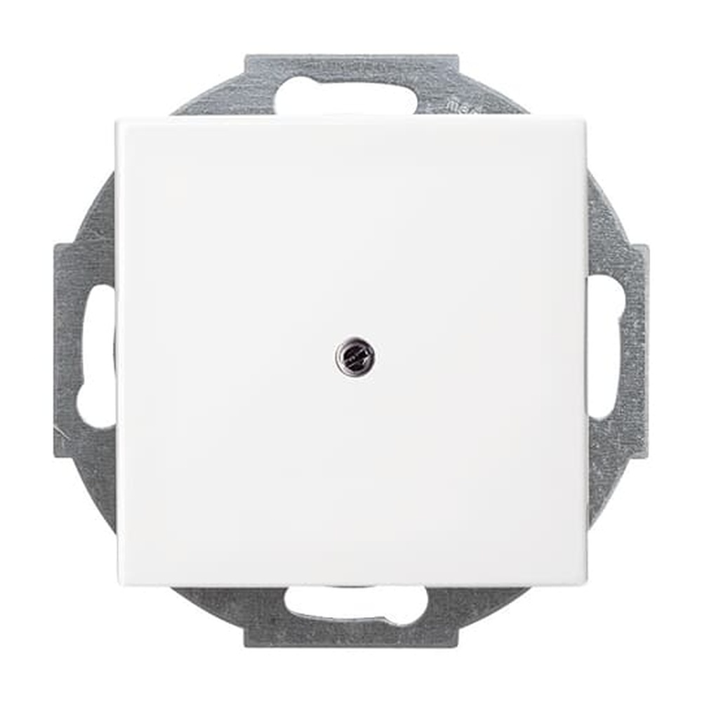 Busch-Jaeger Zentralscheibe 2527-914 Nr. 2CKA001710A4061