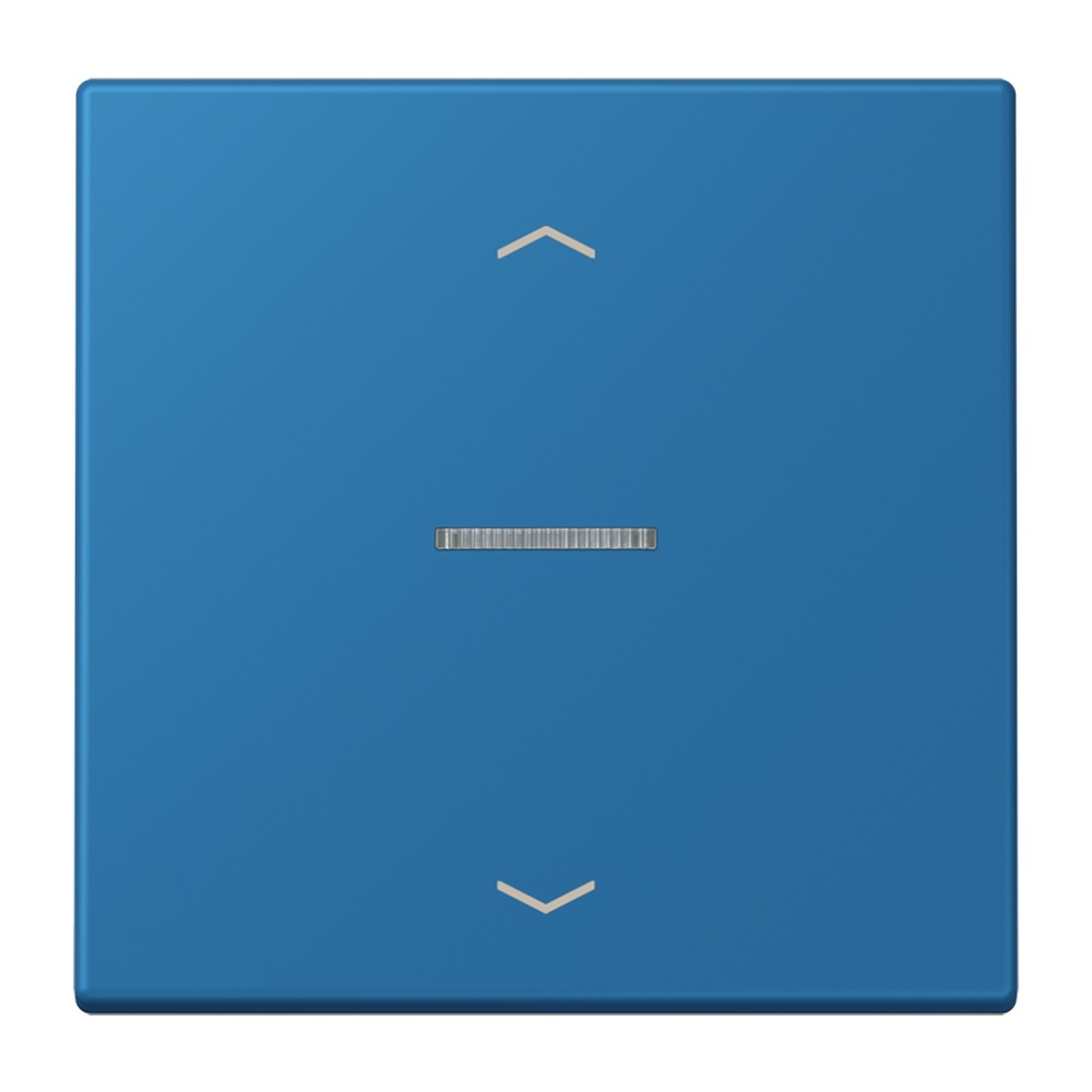 Jung Wippe mit Lichtleiter LC101KO5P211