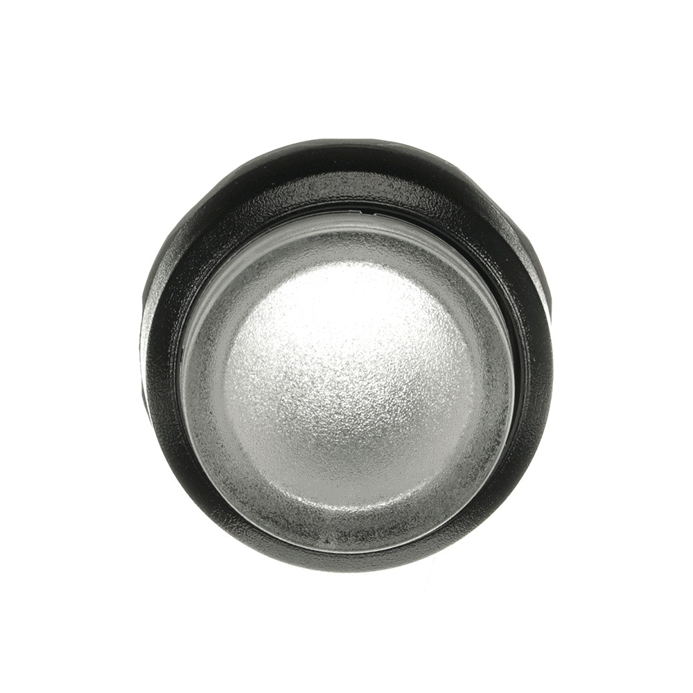 ABB Frontelement für Drucktaster 1SFA611102R1008 Typ MP3-10C