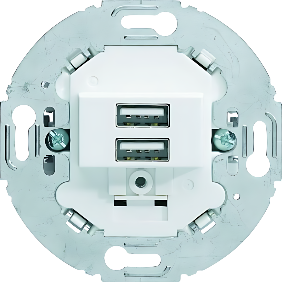 Berker USB Ladesteckdose 260219