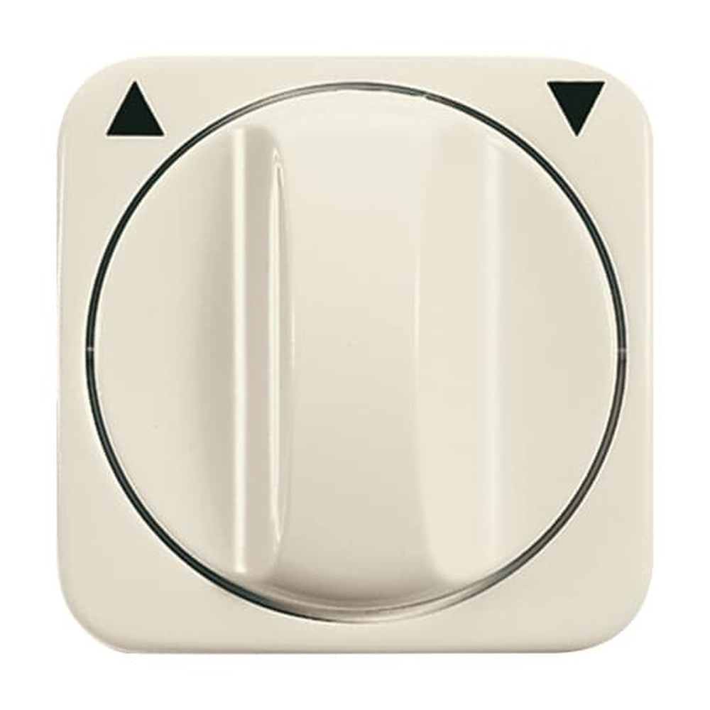 Busch-Jaeger Zentralscheibe 2542 DR-212 Nr. 2CKA001753A0599