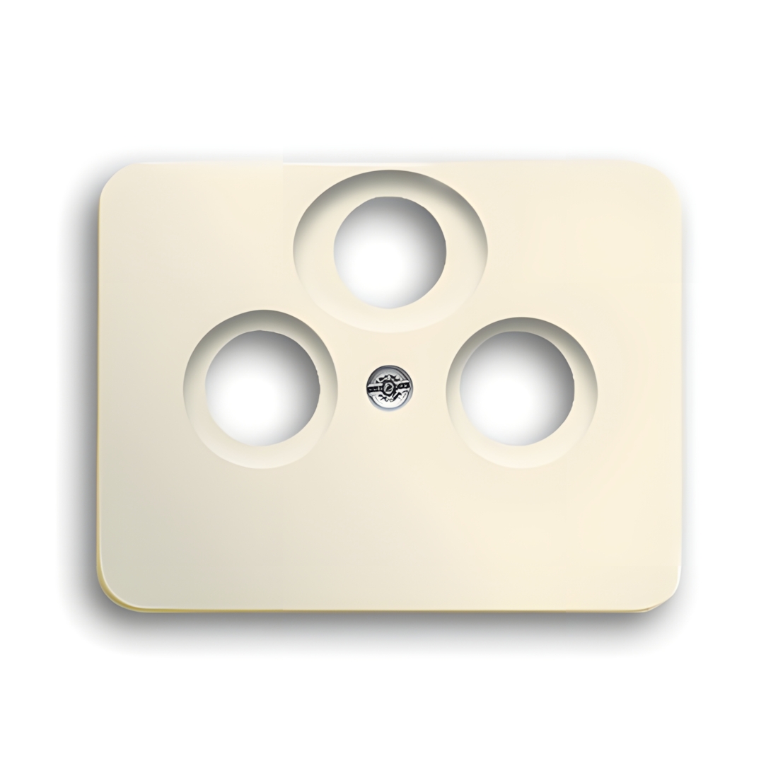 Busch-Jaeger Zentralscheibe 1743-03-22G Nr. 2CKA001724A2463