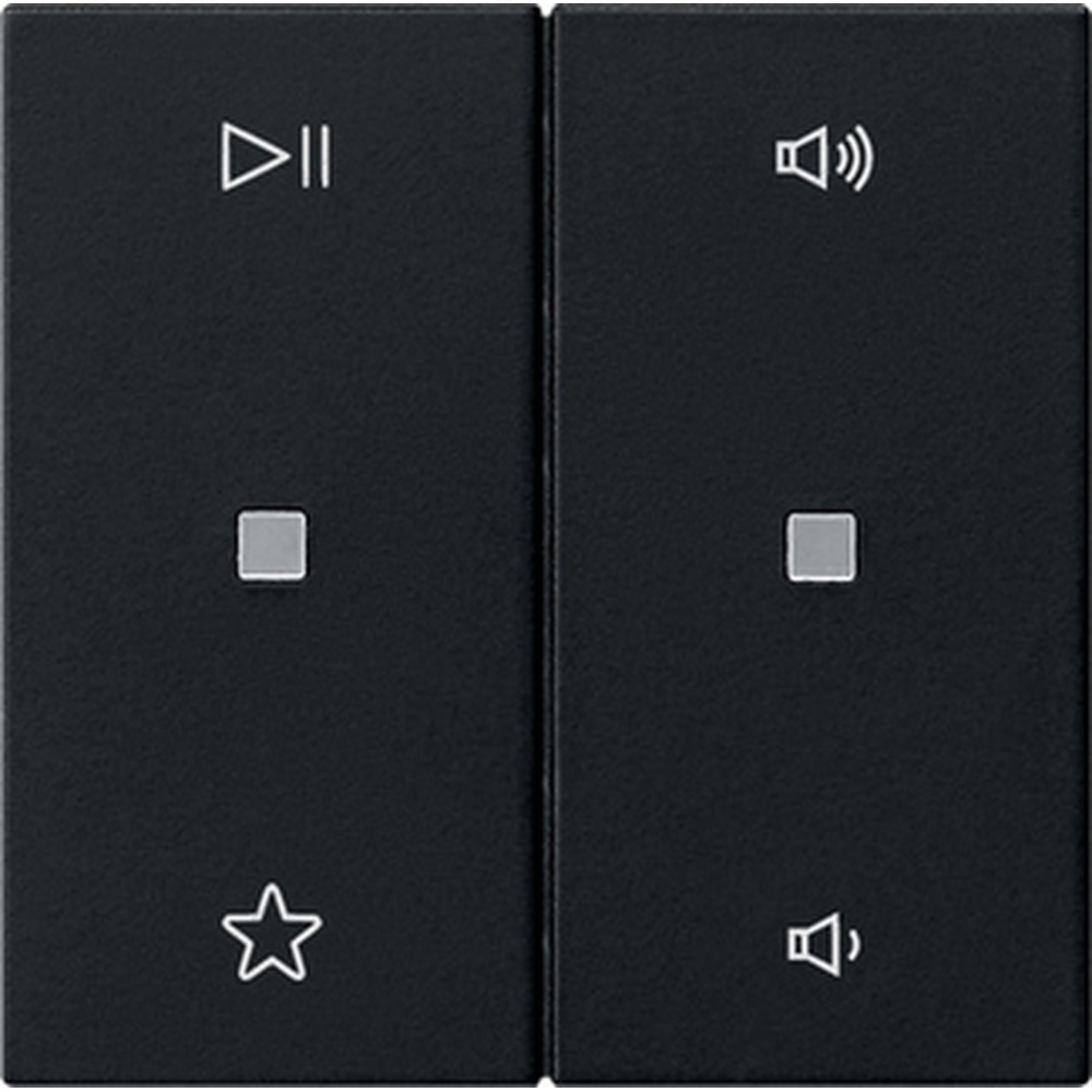 Gira Wippe 2fach 5384005