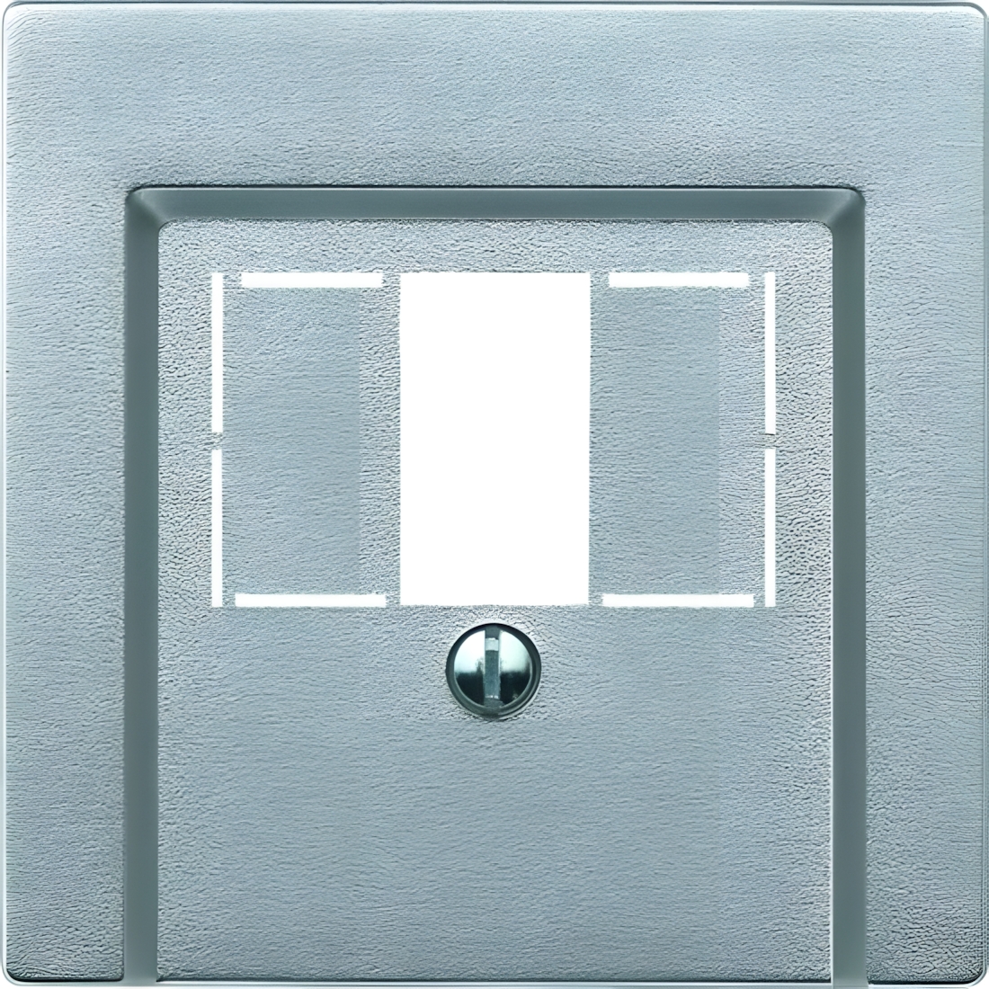 Merten Zentralplatte 297960