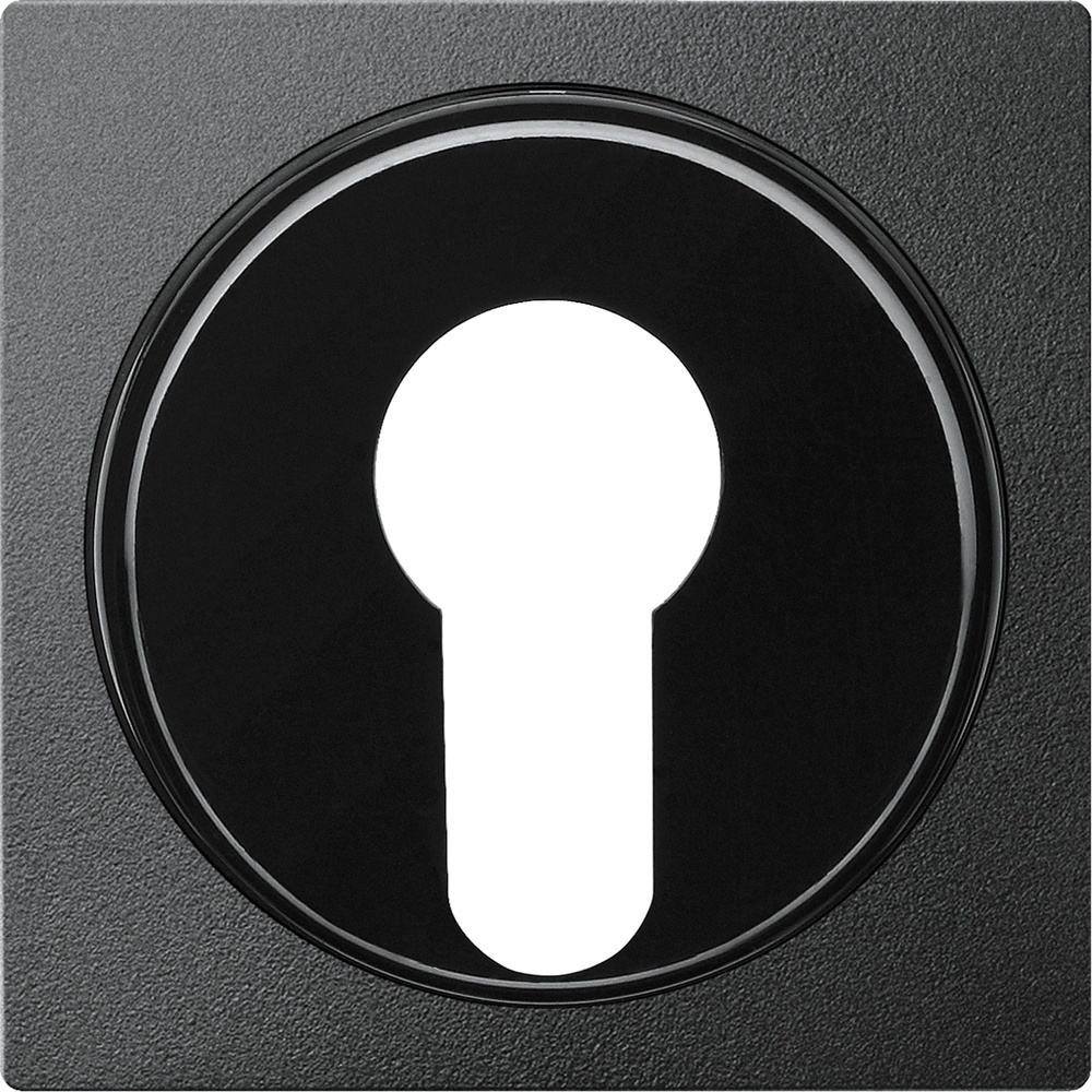 Merten Zentralplatte 318114